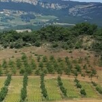 Montclar sur Gervanne