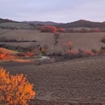 Montclar sur Gervanne  champs d'automne